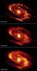 Long-Wavelength Infrared Views of Messier 81