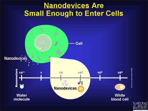 Nanodevices Are Small Enough to Enter Cells