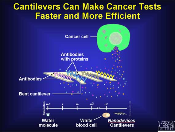 Cantilevers Can Make Cancer Tests Faster and More Efficient