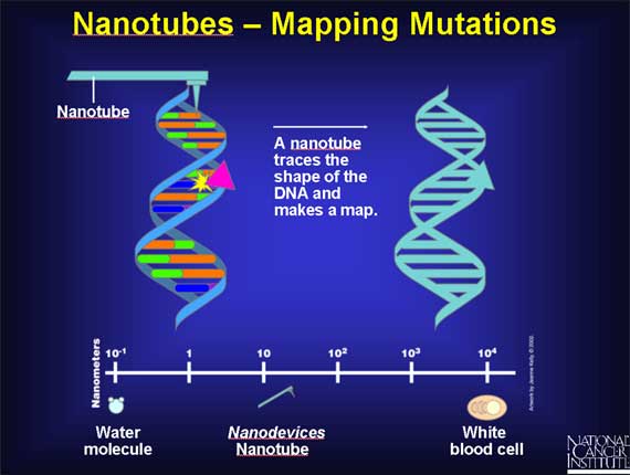 Nanotubes - Mapping Mutations