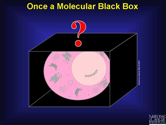 Once a Molecular Black Box