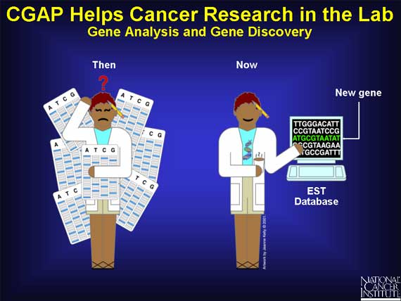 CGAP Helps Cancer Research in the Lab: Gene Analysis and Gene Discovery
