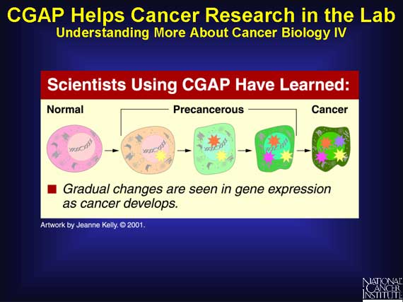 CGAP Helps Cancer Research in the Lab: Understanding More About Cancer Biology IV