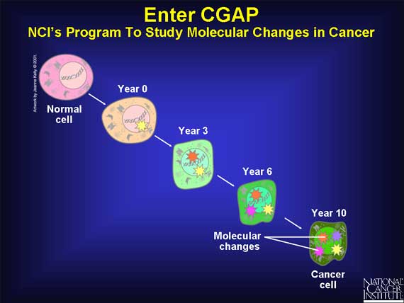 Enter CGAP: NCI's Program To Study Molecular Changes in Cancer