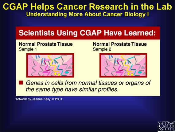 CGAP Helps Cancer Research in the Lab: Understanding More About Cancer Biology I