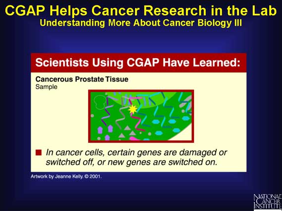 CGAP Helps Cancer Research in the Lab: Understanding More About Cancer Biology III