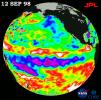 TOPEX/El Niño Watch - Satellite Shows Pacific Running Hot and Cold, September 12, 1998