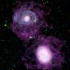 Galactic Halos of Hydrogen