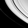 A small icy world plies the space between Saturn's A and F rings
