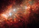 Supernova Blast Bonanza in Nearby Galaxy