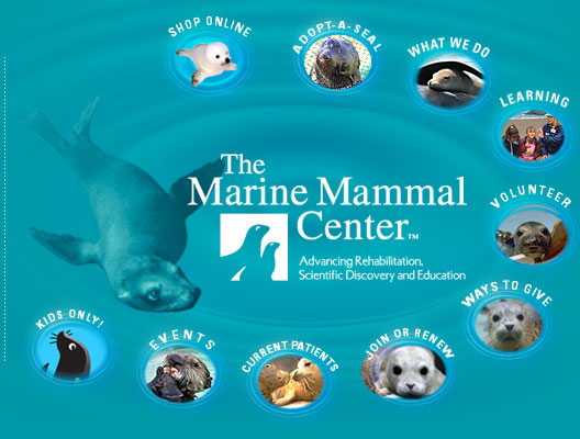 Marine Mammal Center