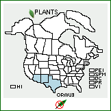 Distribution of Orobanche multicaulis Brandegee. . 