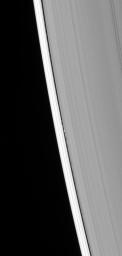 The presence of the tiny ring moon Daphnis is betrayed by the edge waves it creates in the Keeler gap