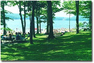 Park goers enjoying a shady lakeside spot for a picnic.