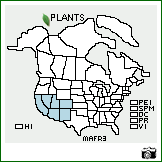 Distribution of Mahonia fremontii (Torr.) Fedde. . Image Available. 