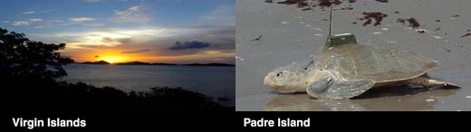 Virgin Islands/Padre Island graphic