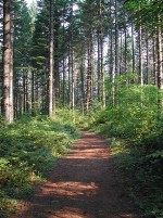 Silver Falls State Park Crossroads 