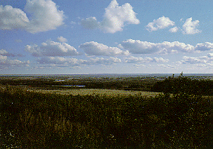 Image of fair weather cumulus clouds.