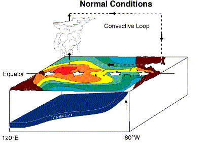 graphic of normal atmospheric and ocean circulations.