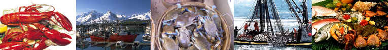Photos of lobsters, fishermen, dungness crabs and assorted fish.
