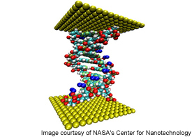 Genetic Material - copyright © 2006 NASA's Center for Nanotechnology - used with permission