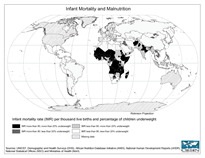 Download Global IMR and Percent Underweight Children Map Below