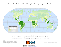 Download Net Primary Productivity Map Below