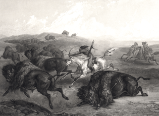 Reise in das Innere Nord-America by Alexander Philipp Maximilian, Prinz von Wied Neuwied: Bison Hunt 