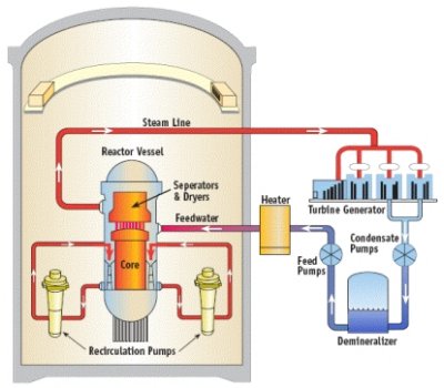 Boiling Water Reactor (BWR)