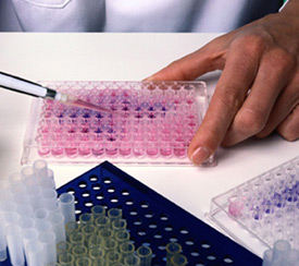 Array of Samples