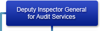 Deputy Inspector General for Audit Services
