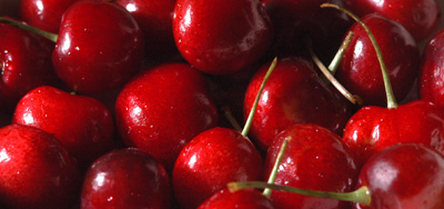 Cherries, like those seen here, are among the organic produce grown on the Adolfo Alvarez Farm.