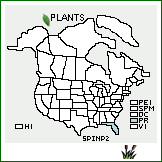 Distribution of Sporobolus indicus (L.) R. Br. var. pyramidalis (P. Beauv.) Veldkamp. . 