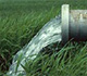  Water floods a rice field