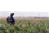 A U.S. Army Soldier searchs a field for hidden weapons in a village located in the Southern region of Kirkuk province, Iraq, June 17, 2008. 