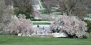 Gravesite of President John F. Kennedy