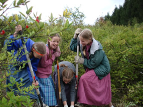 Girls with shovels digging up a bush