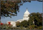 The United States Capitol