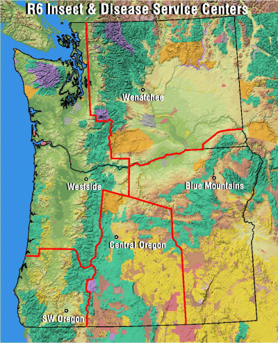 map showing locations of 5 Forest Insect and Disease Service Centers in Oregon and Washington