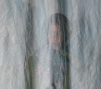 a girl standing behind an insecticide-treated net.