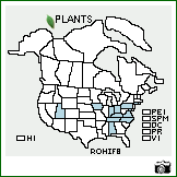 Distribution of Robinia hispida L. var. fertilis (Ashe) R.T. Clausen. . Image Available. 