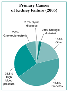 Primary Causes of Kidney Failure (2005). Pie chart showing the primary causes of kidney failure in the United States in 2005. The primary causes are diabetes (43.8 percent), high blood pressure (26.8 percent), glomerulonephritis (7.6 percent), cystic diseases (2.3 percent), urologic diseases (2.0 percent), and other (17.5 percent).