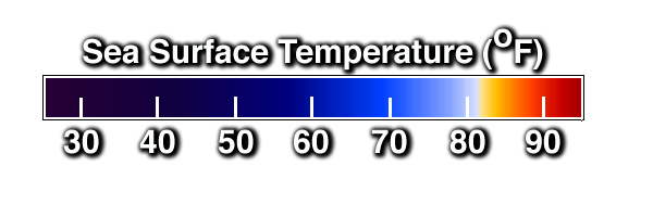 Color bar for sea surface temperatures in degrees Fahrenheit: blues are less than 80 , white is about 82, yellows and reds are above 82