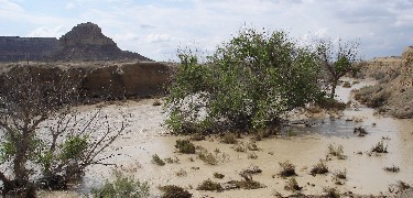 Photo of flood through Chaco Wash