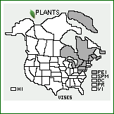 Distribution of Vicia sepium L. var. sepium. . 