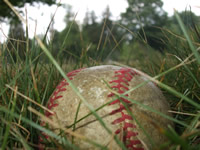 softball hidden in a field of grass
