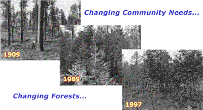 Changing community needs, changing forests. A succession of three images displaying a forest changing over time for the years 1909, 1989, and 1997.