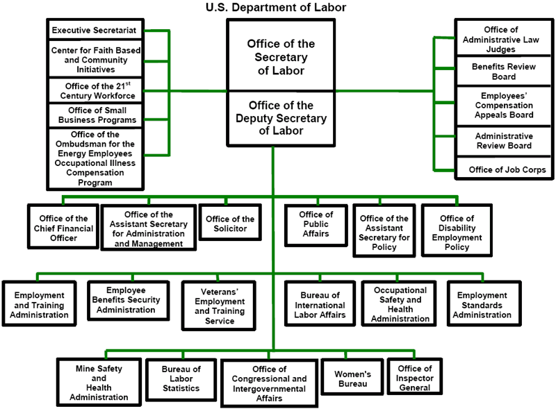 Org chart