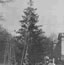 1927 National Christmas Tree