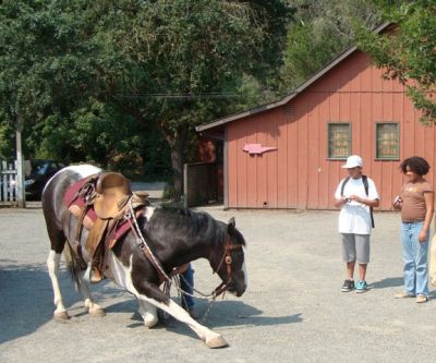 Nancy Kerson with "Sparky" at Vine Village, Inc.